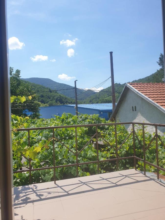 Casa Dina Hotel Baile Herculane Bagian luar foto