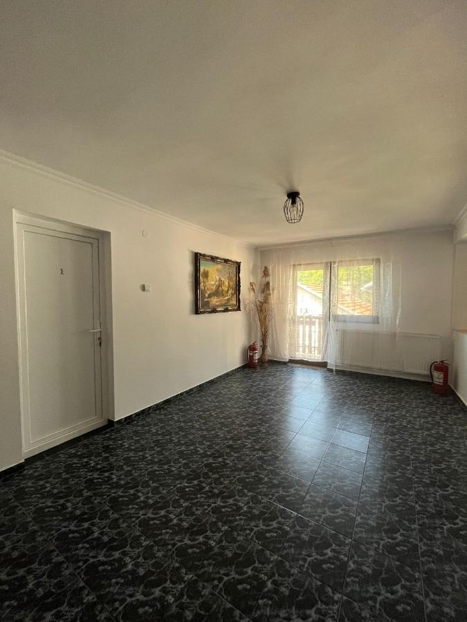 Casa Dina Hotel Baile Herculane Bagian luar foto