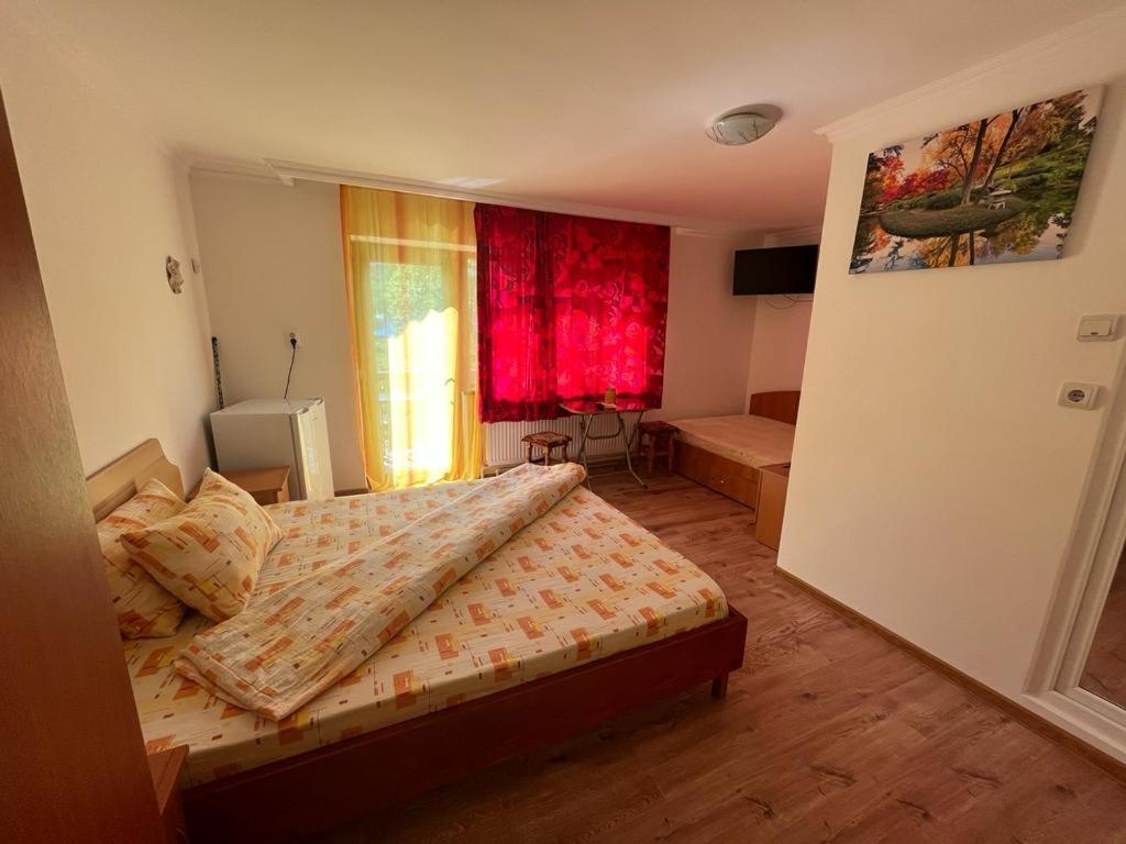 Casa Dina Hotel Baile Herculane Bagian luar foto